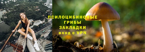 скорость Володарск
